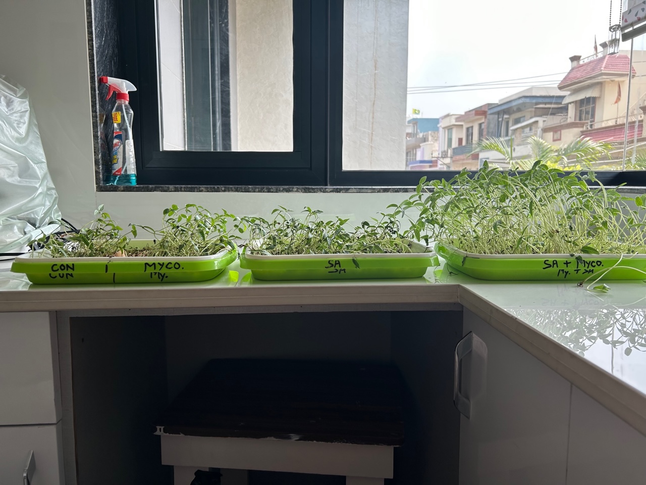 Genius Laboratories Mycorrhiza research 8